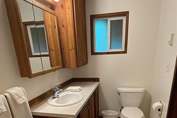 Rainier Cabin bathroom (pic 1 of 2)