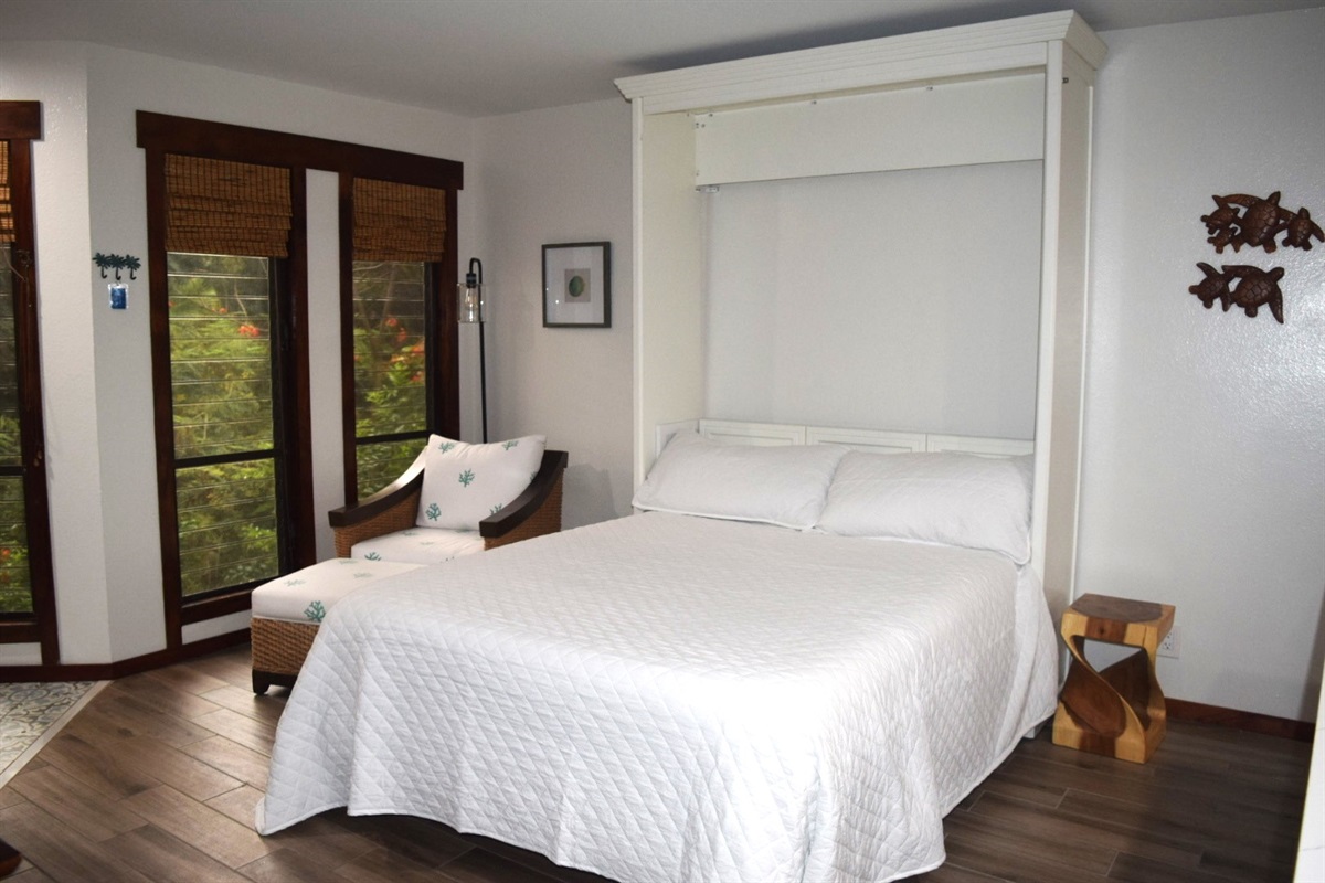 Queen Murphy Bed