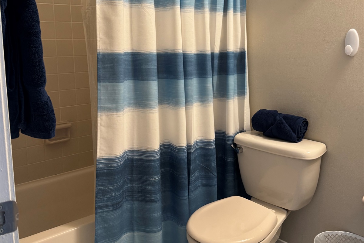 Guest Bath, tub/shower combo