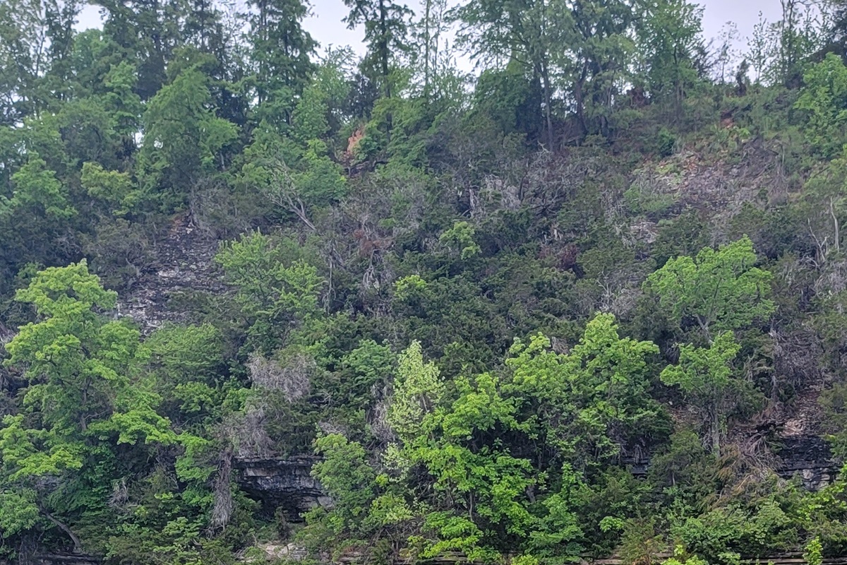 Buffalo River only 4.4 miles from Nature's Loft