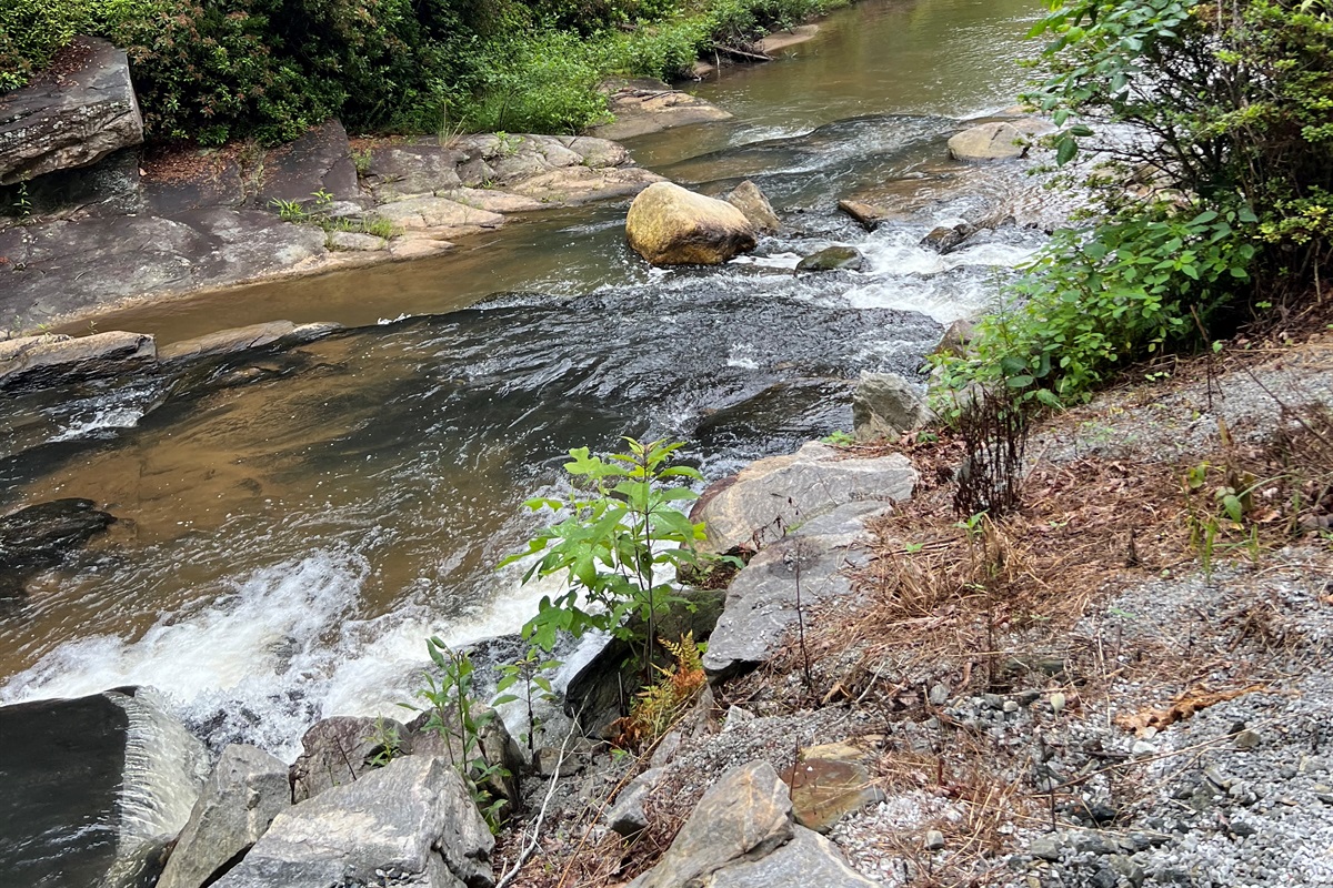 Where the River Flows, Peace Follows!