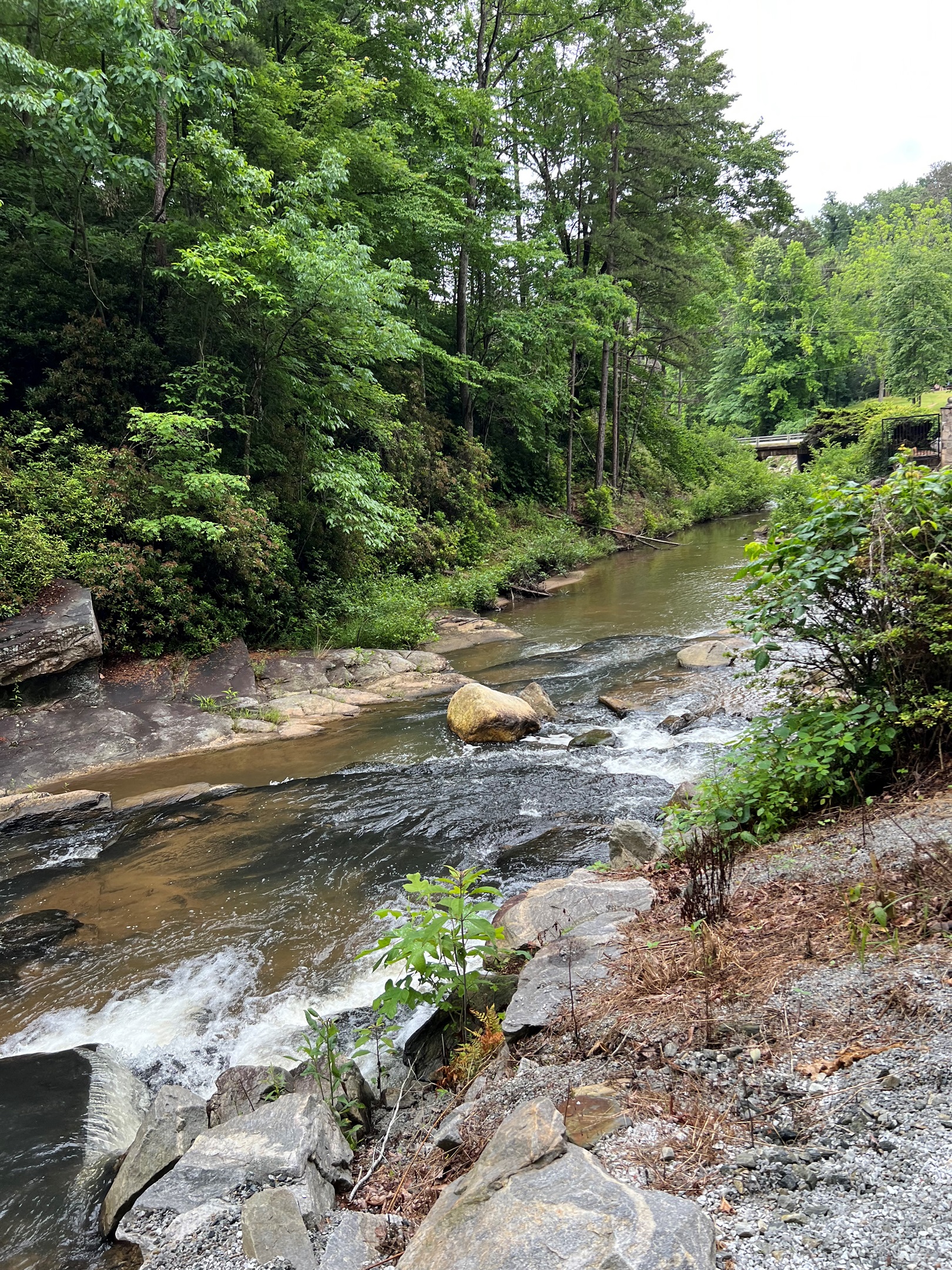 Where the River Flows, Peace Follows!