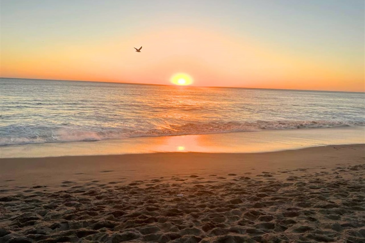 Beach Sunrise