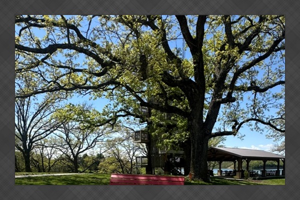 Picnic at the pavilion just outside the pool