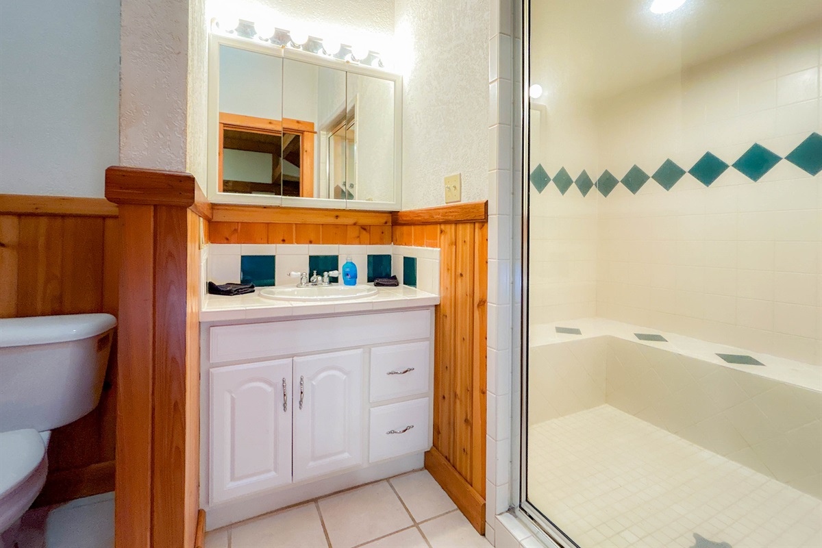 Full bathroom compete with an extra large steam shower!