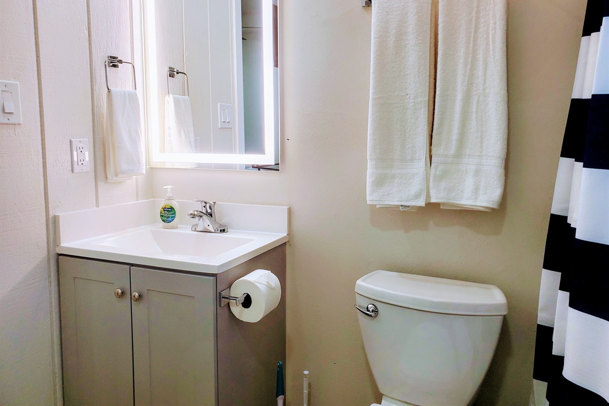 Perfect bathroom with light up mirror
