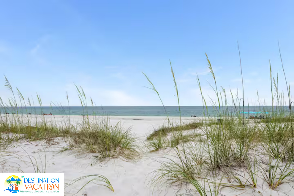 Golden dunes lead toward endless blue horizons.