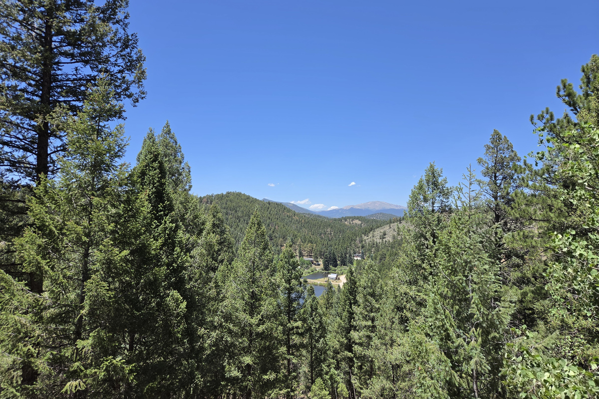 View from the deck