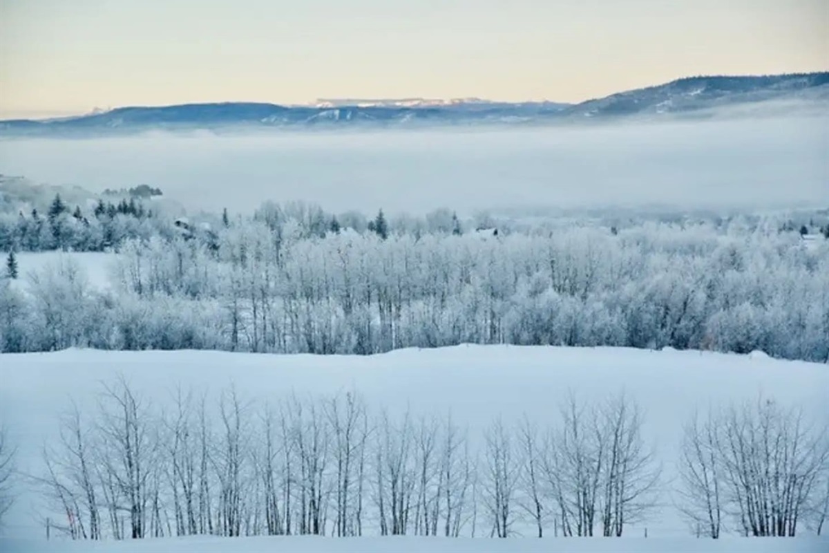 Winter Views from the Deck
