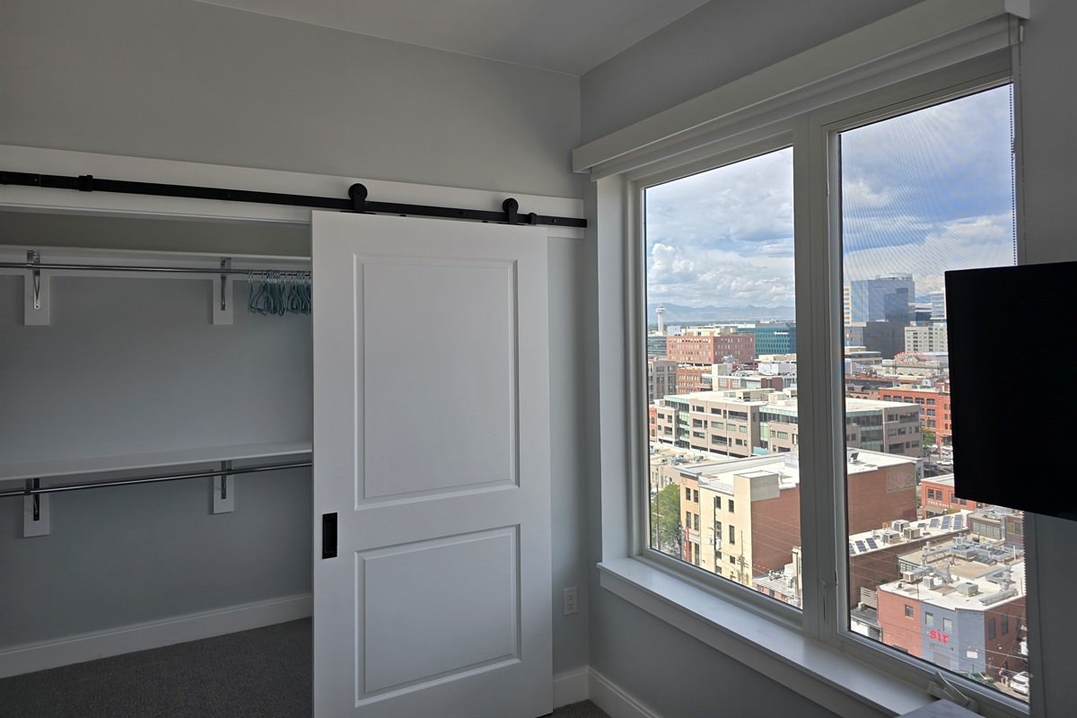 Amazing views - giant walk in closet with barn doors - smart TV