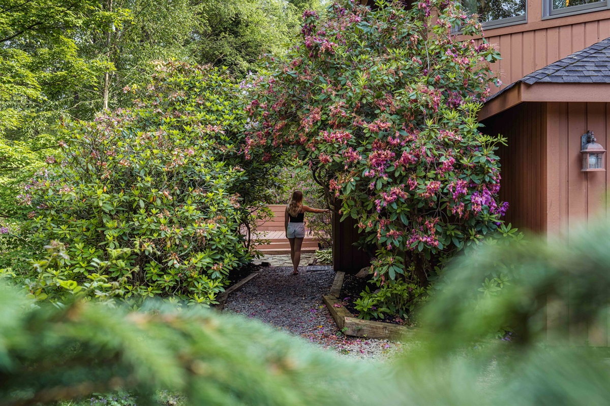 Step into your own private forest retreat with flowering paths and total seclusion.