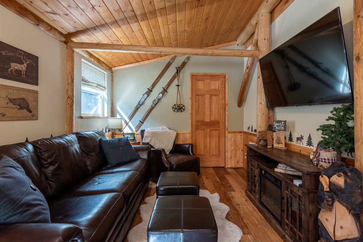Cozy bright living room with TV and DVD library
