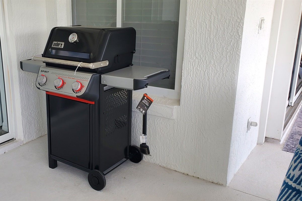 BBQ propane grill