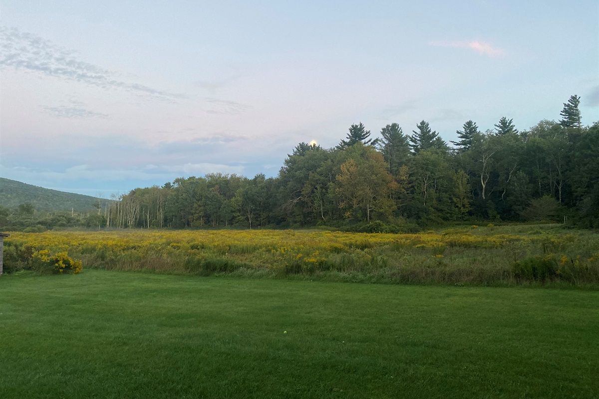 Private Meadow Views

“Wide meadow views offering privacy, space, and uninterrupted natural beauty.”