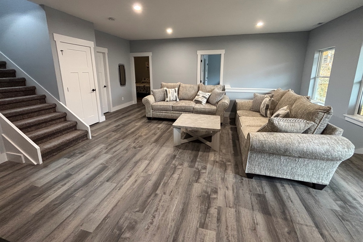 Lower level living room