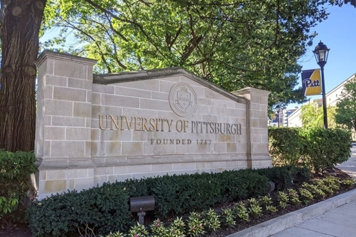 You have a wonderful view of the Cathedral of learning from our Airbnb. 