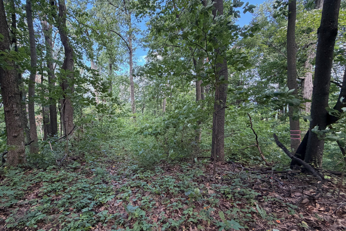 Numerous trails are on the 26 acre property, which you are free to use. We do have many wild animals to enjoy watching, but do take care and be safe. Read through the Guest Welcome Book about safety before you venture off.