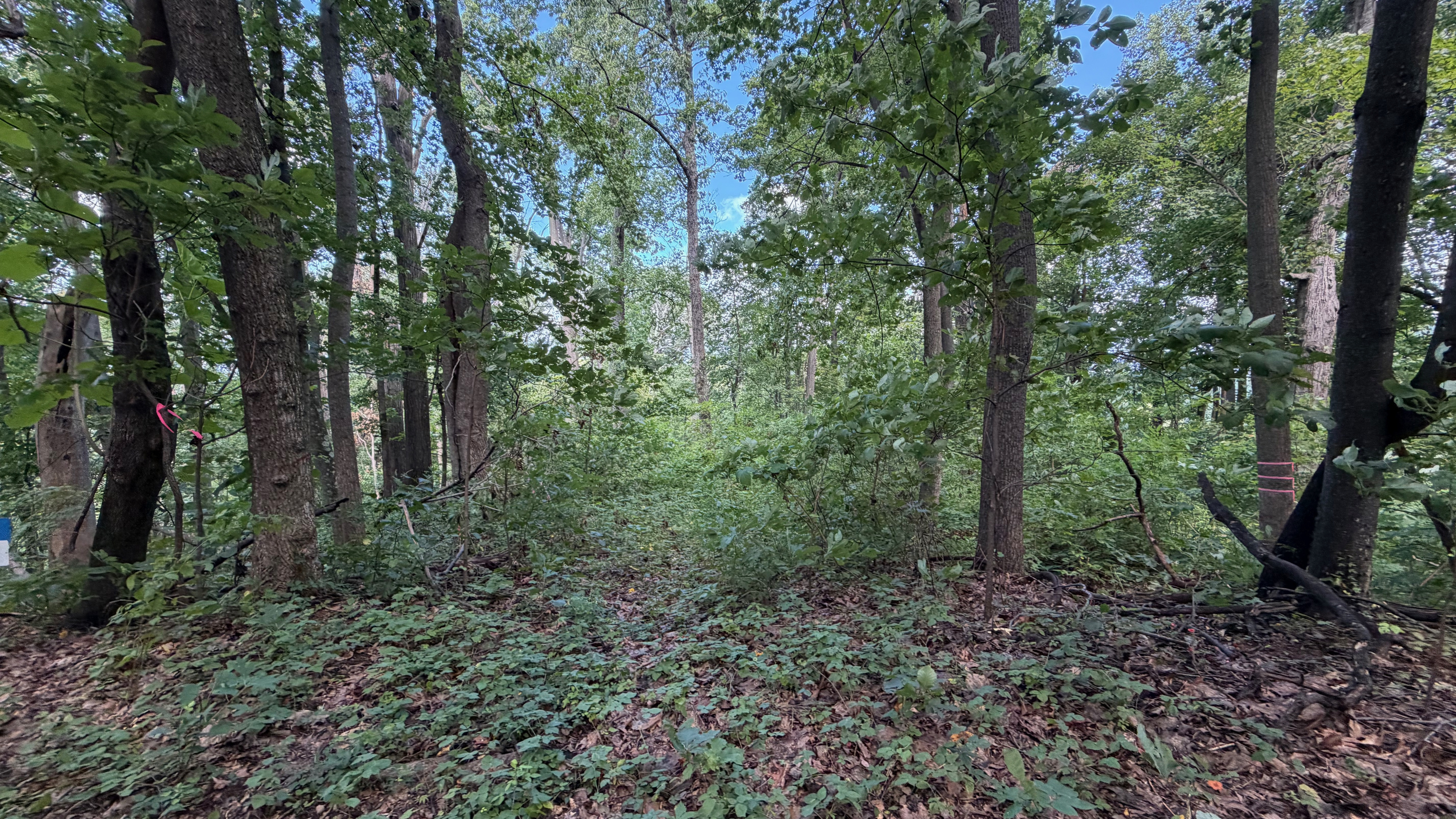 Numerous trails are on the 26 acre property, which you are free to use. We do have many wild animals to enjoy watching, but do take care and be safe. Read through the Guest Welcome Book about safety before you venture off.