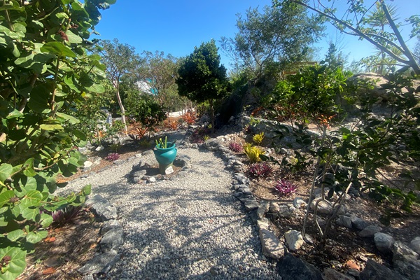 Starfruit, Key Lime, Persian Lime, Dragon Fruit, and Jujube Trees line this path.