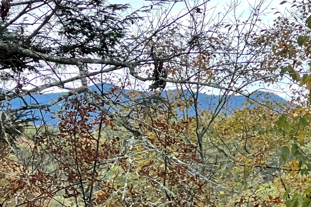Amazing fall mountain view from the balcony..