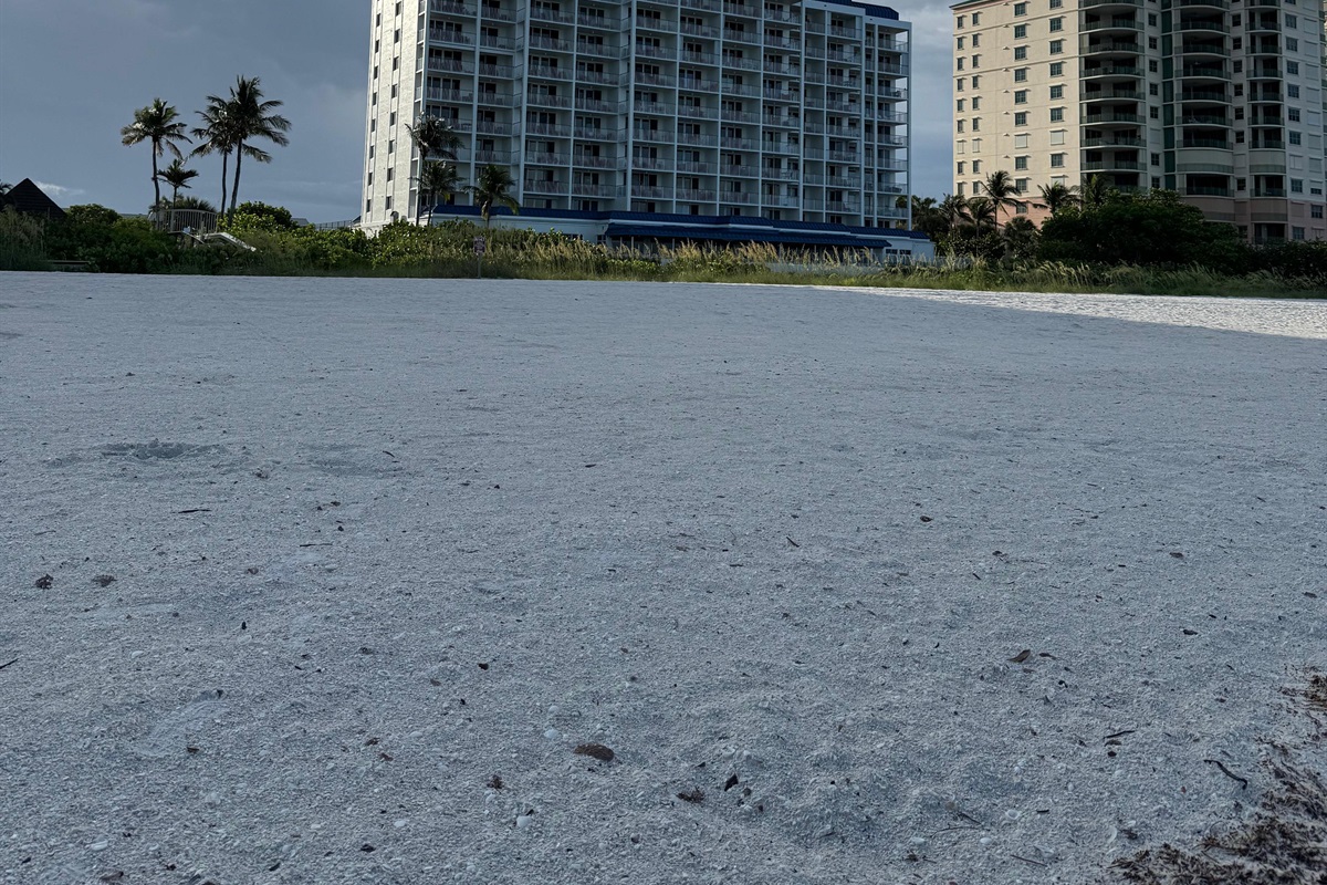 Susan V., Jun 10, 2025