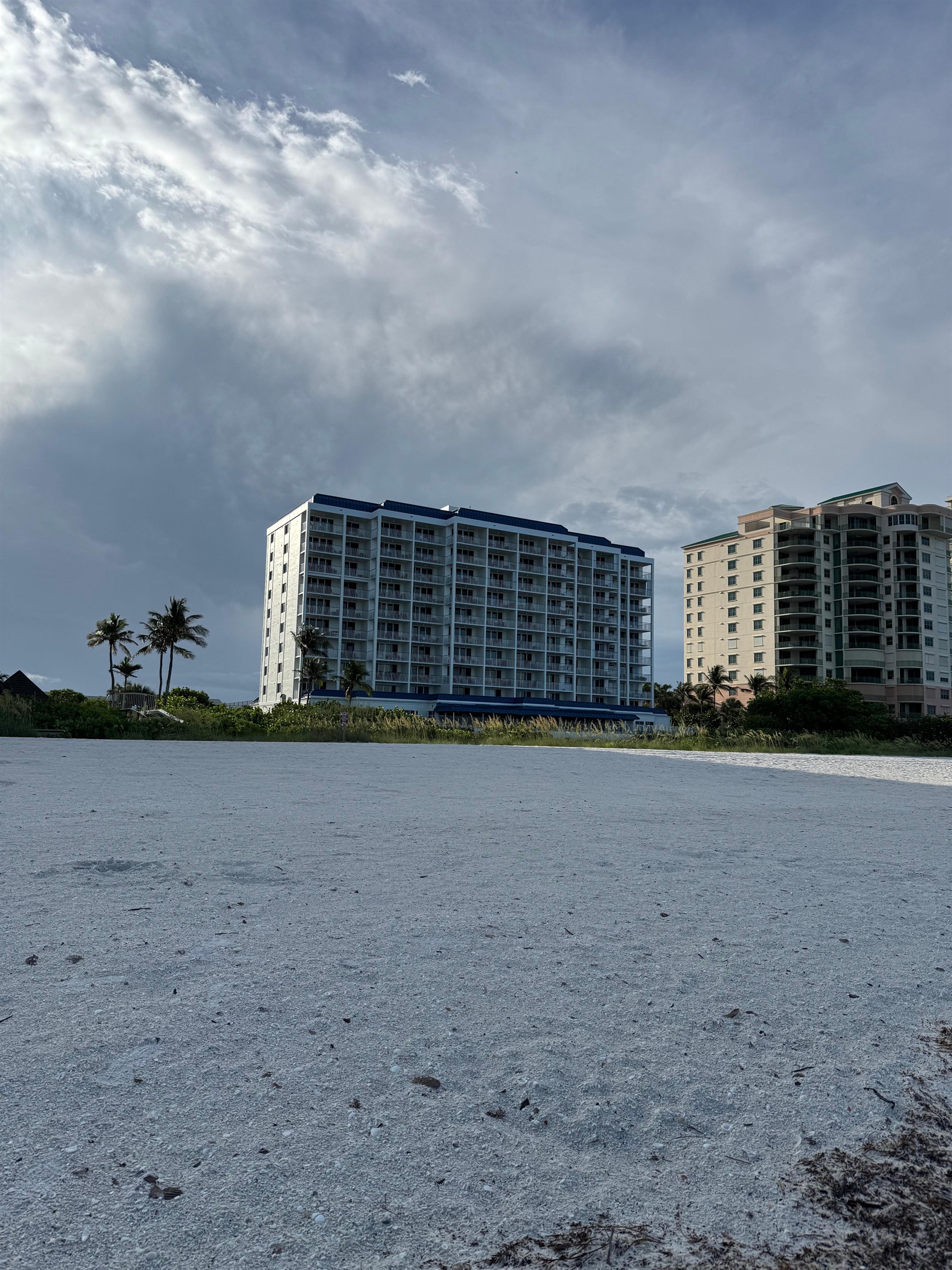 Susan V., Jun 10, 2025