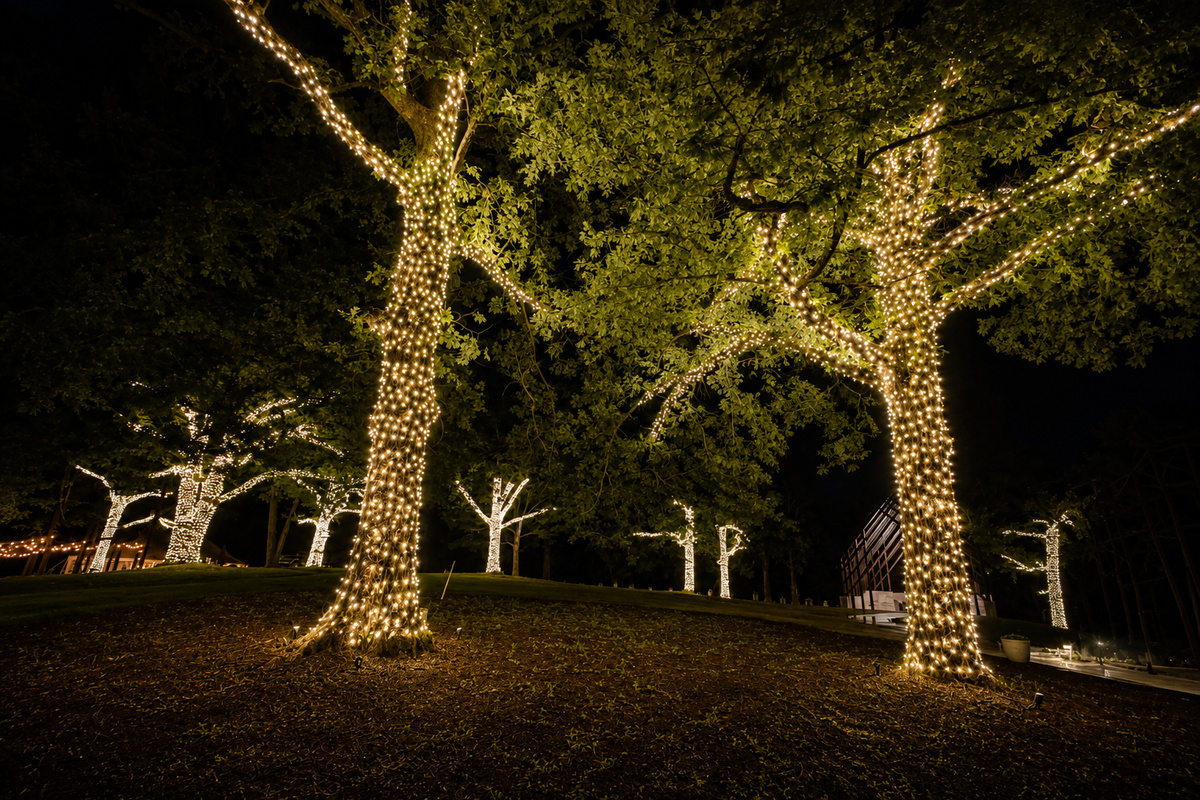 Unbelievable night lighting on this property!