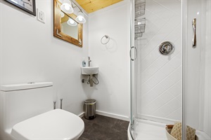 point of view from the bathroom entrance to the toilet and shower