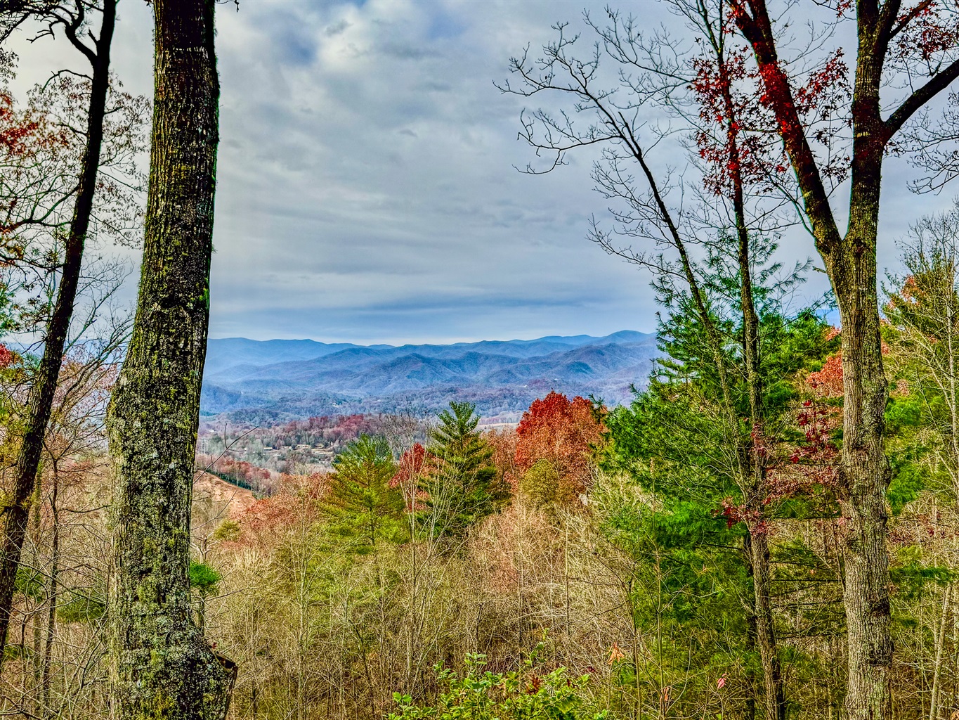 Views, views, views!