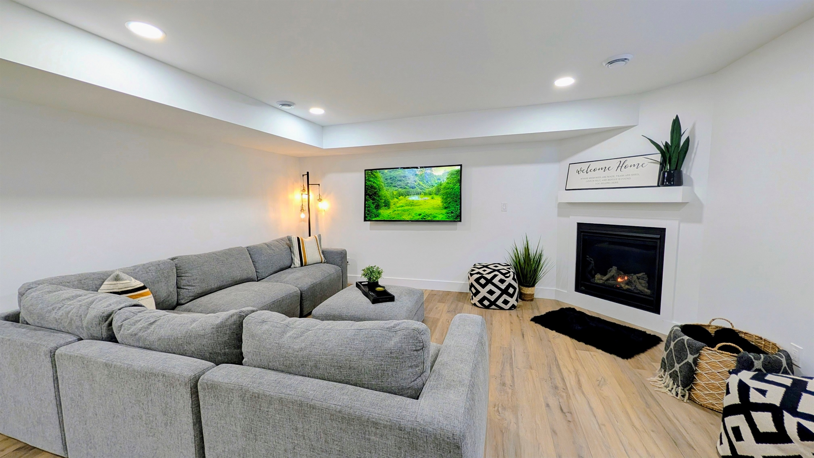 Downstairs Living room