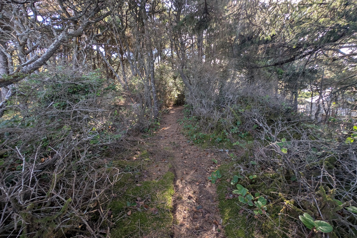 farther down the secret path