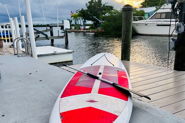 Up for a little paddle boarding?