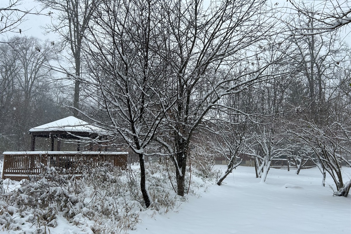 The gazebo is still a nice place in the winter to hang out around the fire table and watch for wildlife.
