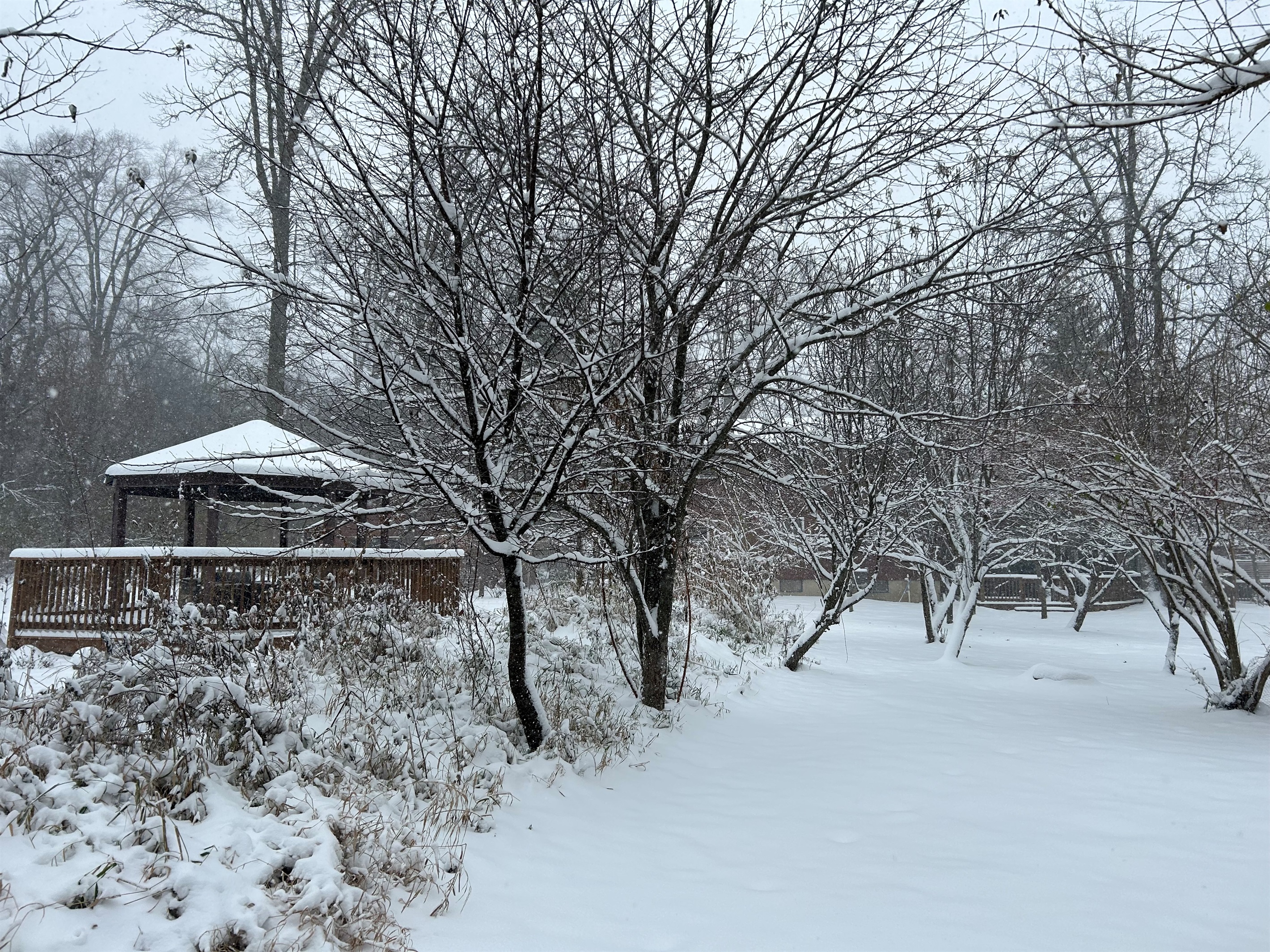 The gazebo is still a nice place in the winter to hang out around the fire table and watch for wildlife.