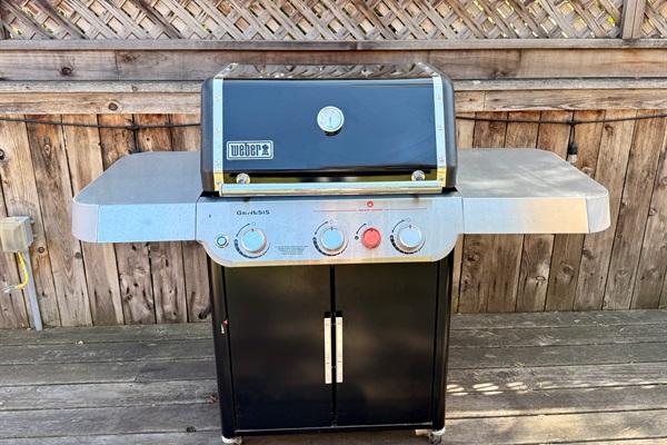 Weber grill with propane included and lots of backups on site. Grilling tools are in the storage area below the grill.
