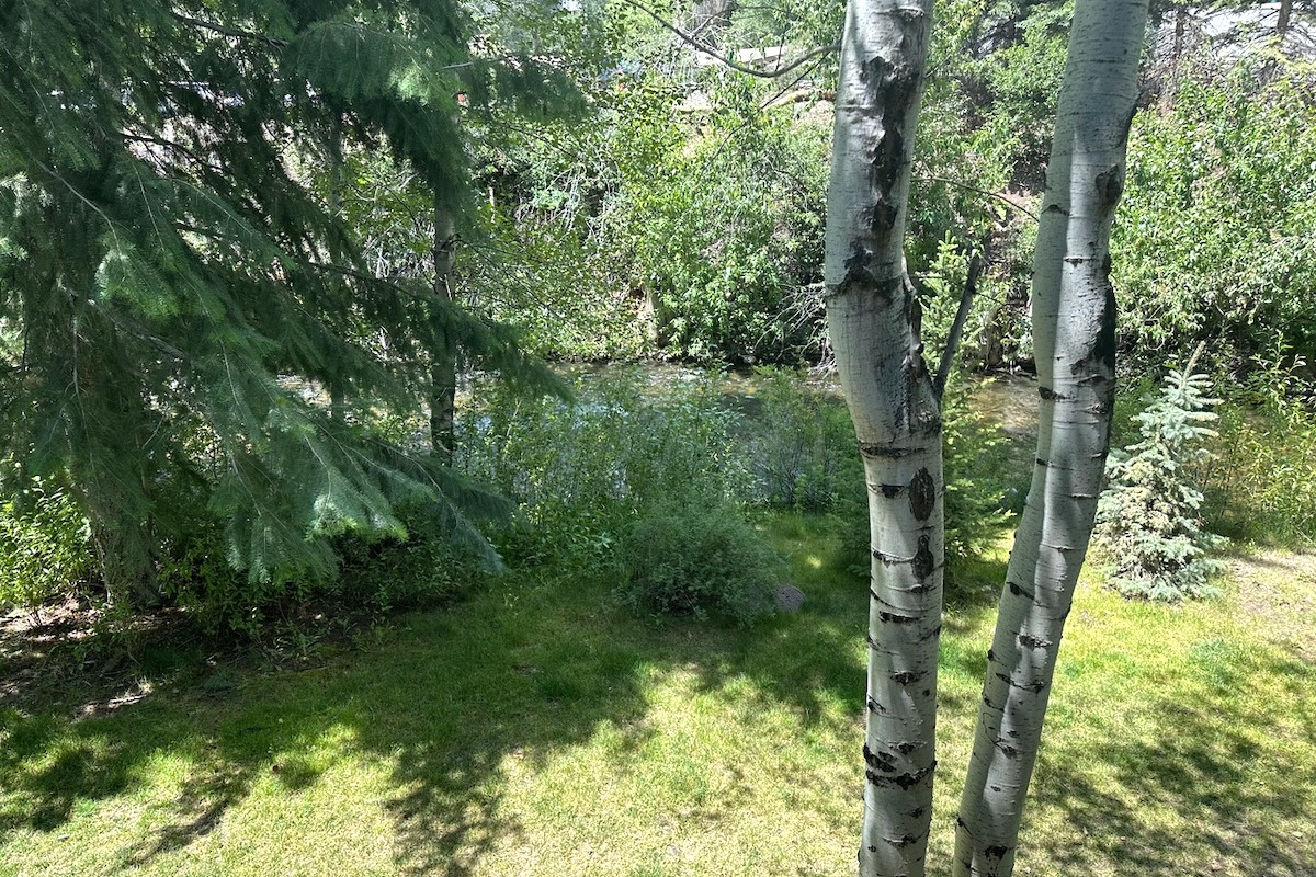 Trail Creek views from the Adirondack chairs