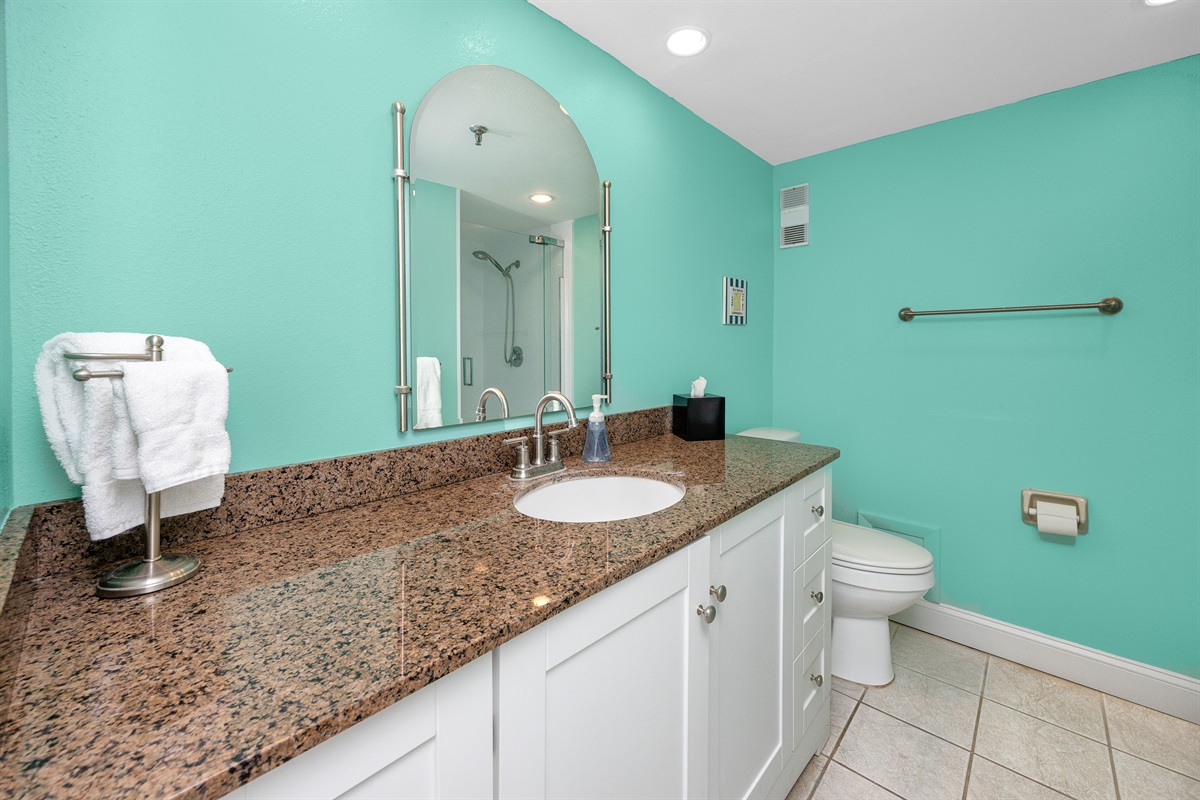 Plenty of bathroom counter space