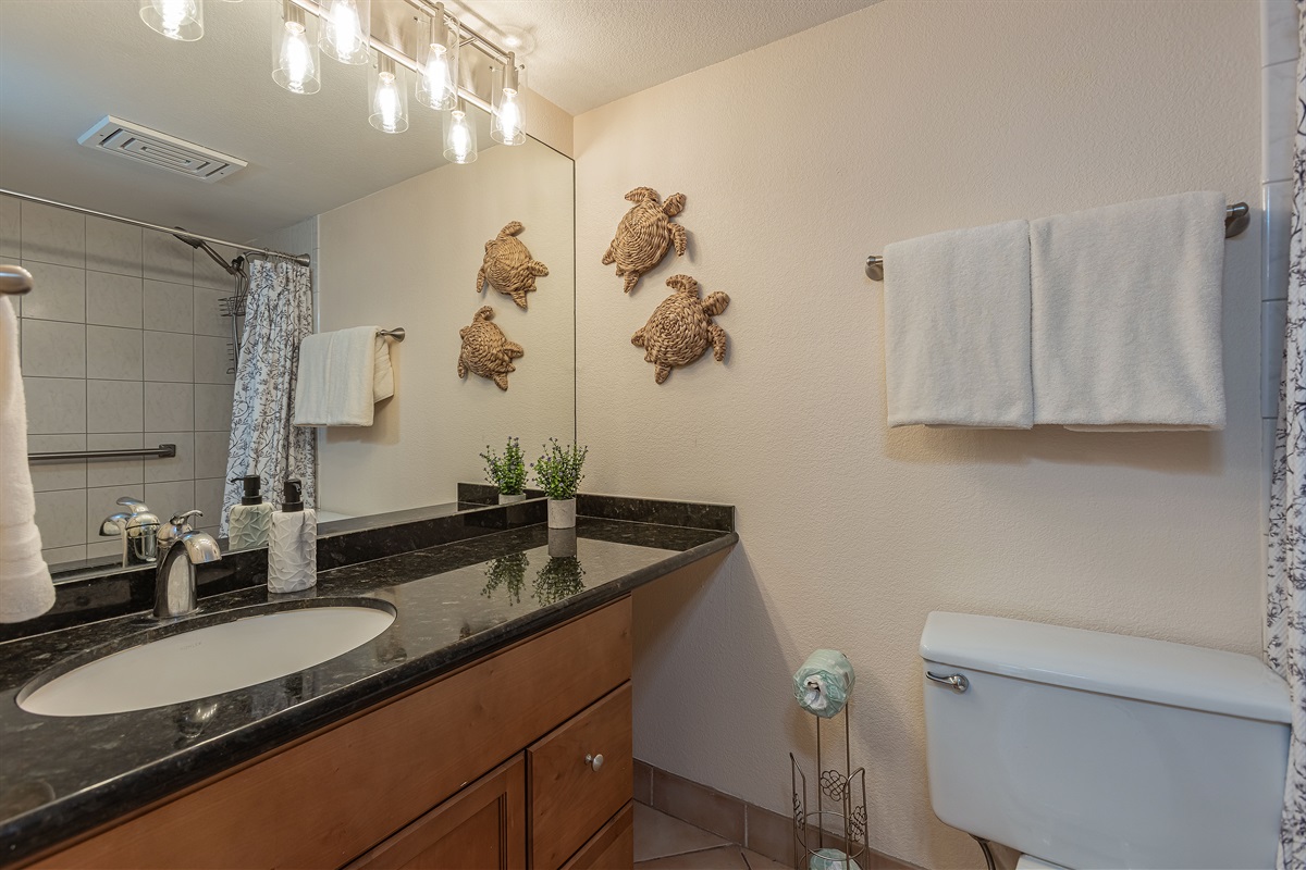 Full Bathroom 1