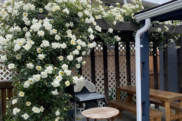 At Blossom House you can truly enjoy the blossoms from April to …