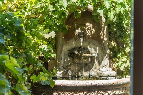 Tucked into a lush green corner of the property, a stone fountain trickles beneath a canopy of grapevines — a hidden gem that adds a touch of old-world charm to the outdoor space.