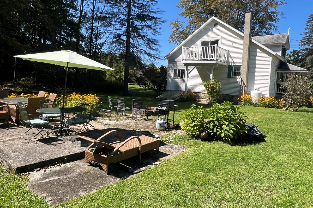Back patio area
