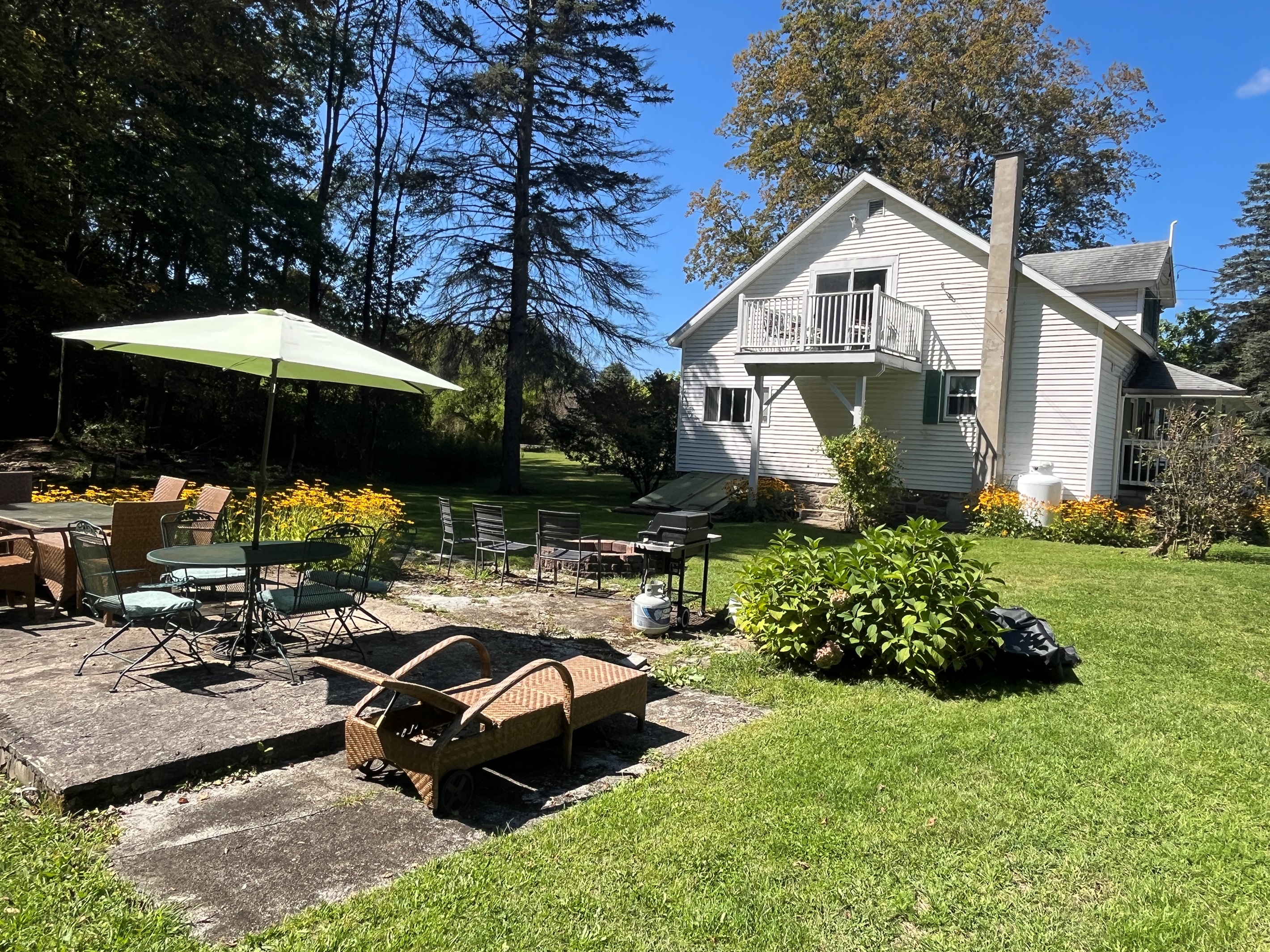 Back patio area