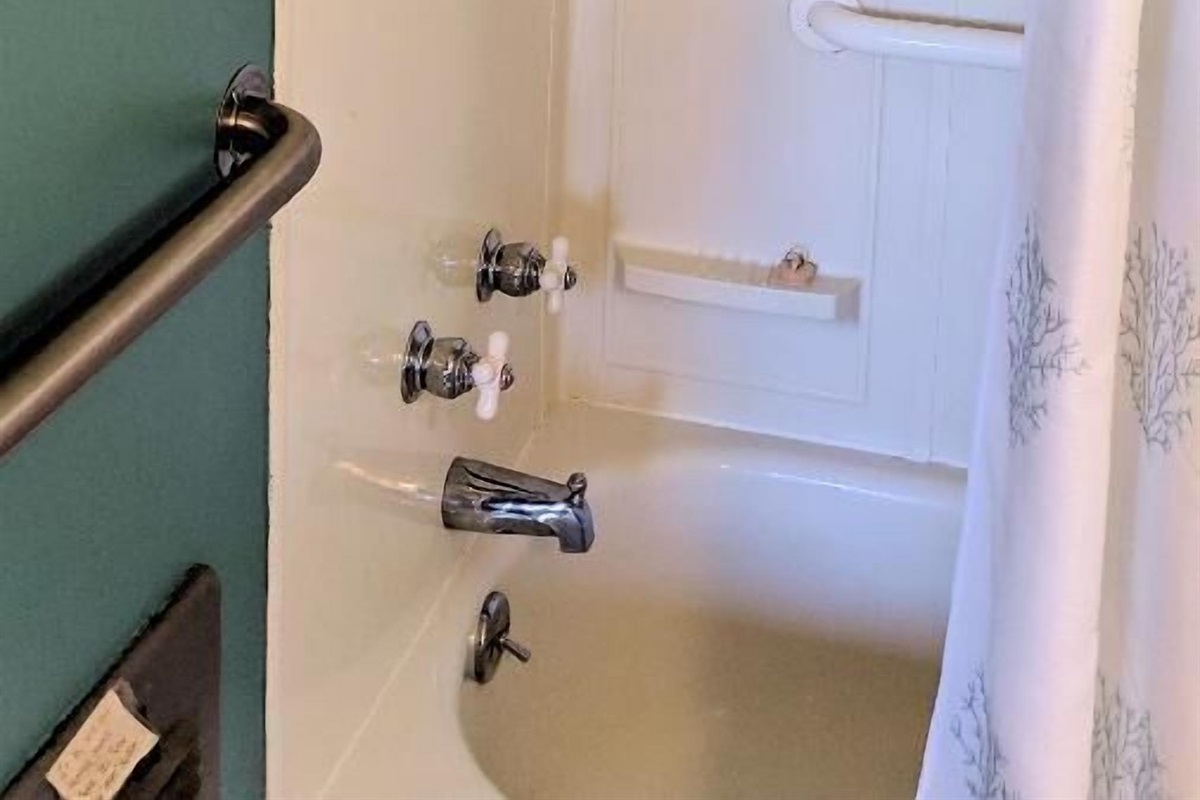 main bath shower tub combo