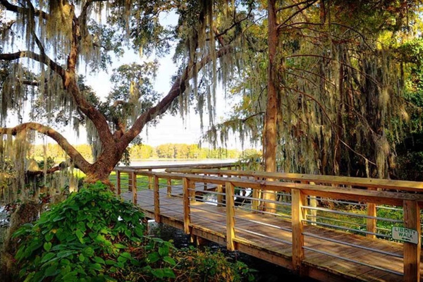 Shaded boardwalk stroll at Liberty Park.