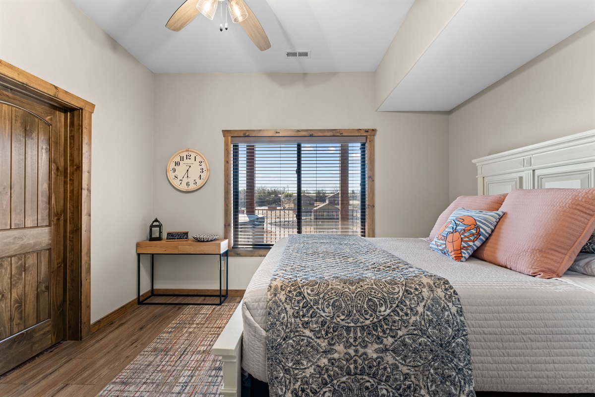 Lower level queen bedroom 