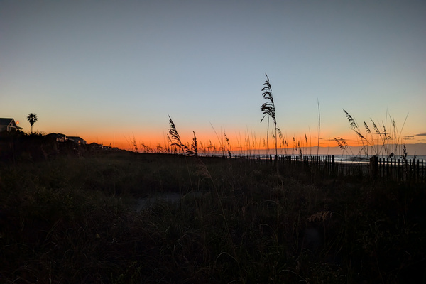 The backyard.