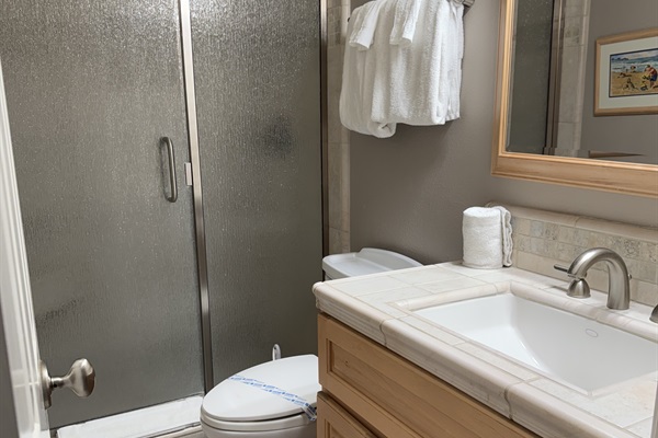 Downstairs Master Bath