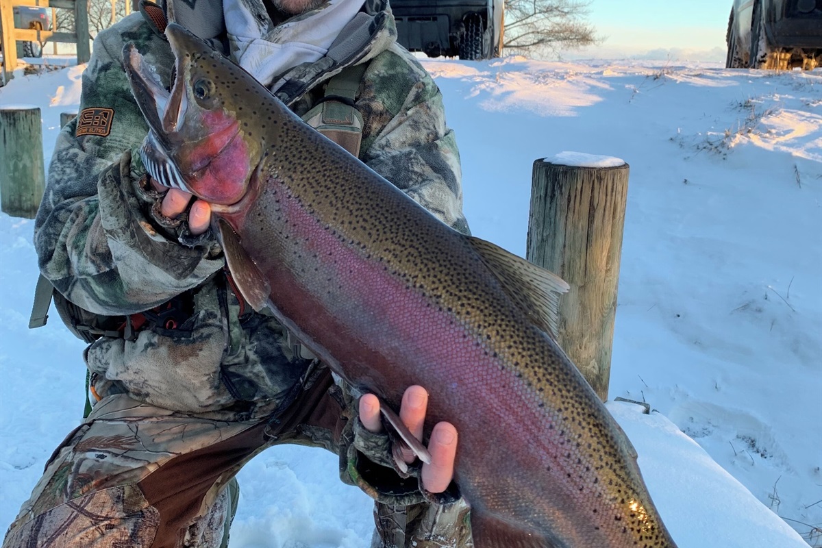 Amazing steelhead fishing in lower Boardman River