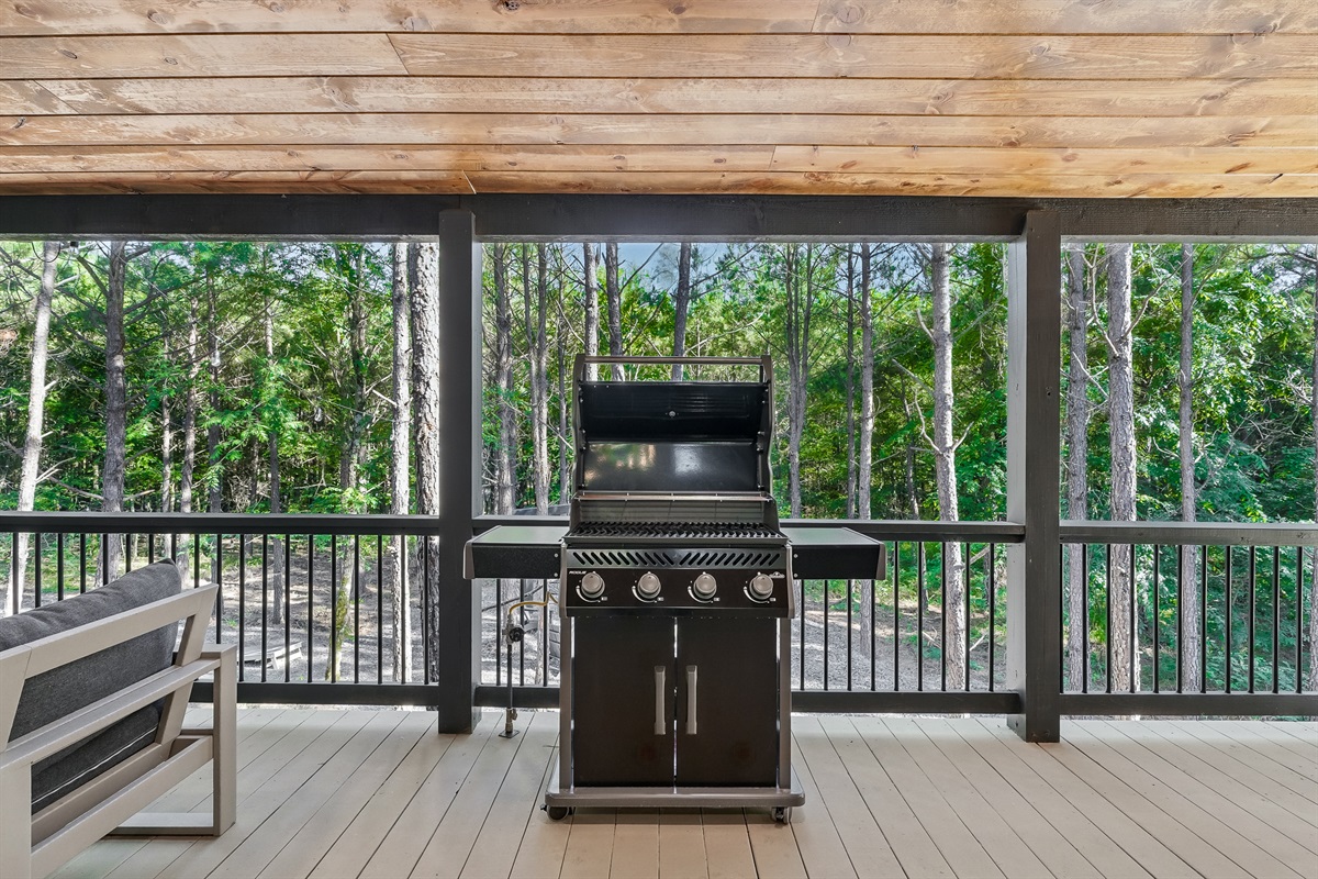 Gas Grill 