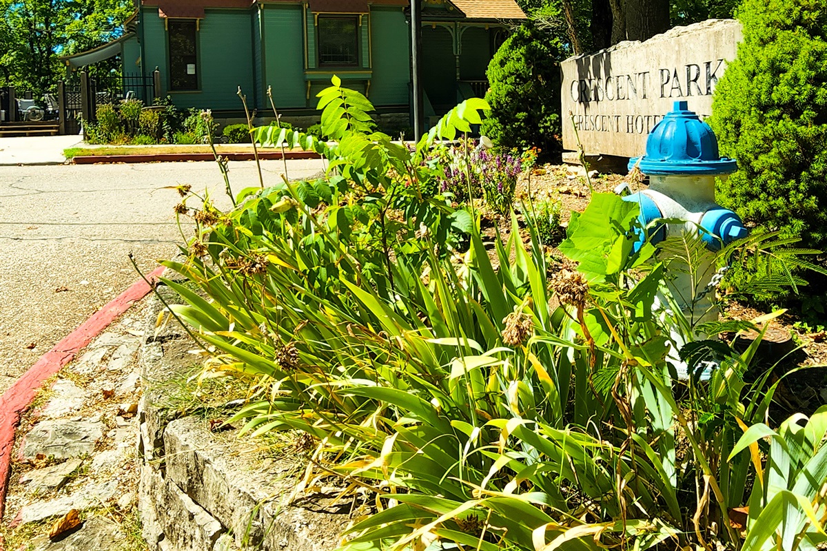 Garden Suite at Ellis Nightly Lodging in Eureka Springs, AR